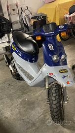 Peugeot Squab 50 - 2001