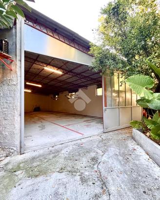 BOX A ALBENGA
