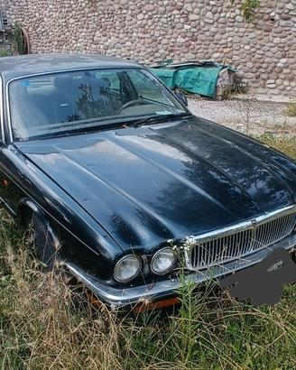 Jaguar XJ6 