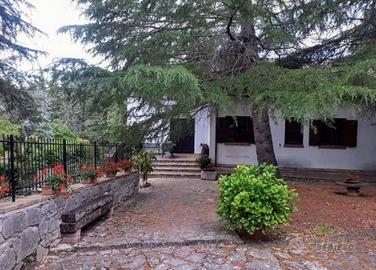 Villa singola immersa nel verde