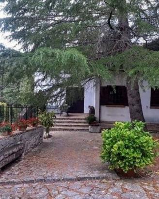 Villa singola immersa nel verde
