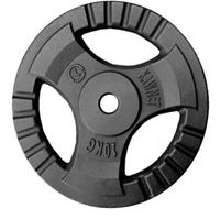 Dischi palestra da 10kg 5 kg