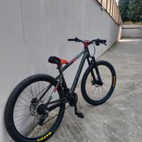 Whellie bike 27.5