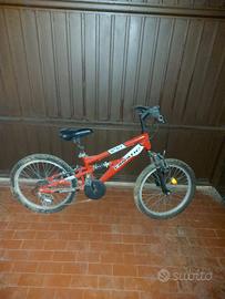 biccicleta da bambino