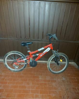 biccicleta da bambino