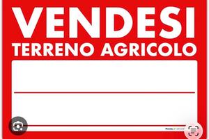 Terreno agricolo