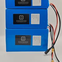 Batteria 12V 24V 36V 48V E-bike Bici Monopattino