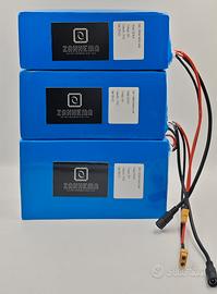 Batteria 12V 24V 36V 48V E-bike Bici Monopattino