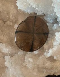 Chiastolite minerali n.02