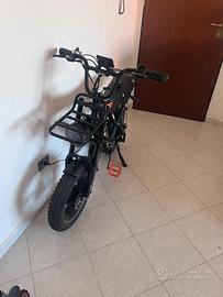 RCB 19 MINI