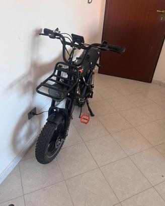 RCB 19 MINI