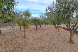 Bel terreno con fabbricato c2