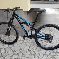 mtb specialized full 29