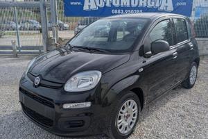 FIAT Panda 1.0 FireFly S&S Hybrid Easy