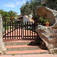 Cannigione appartamento con giardino