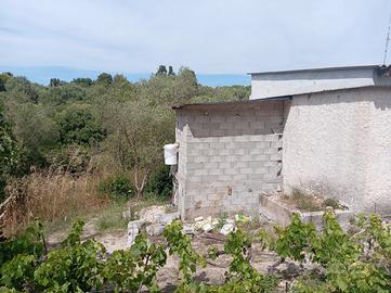 Campagna