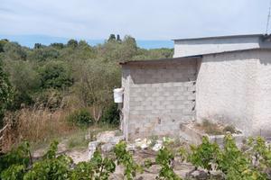 Campagna