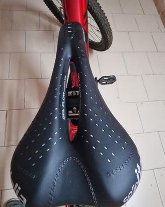 biciclette 