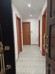 Stanza per studentesse universitarie