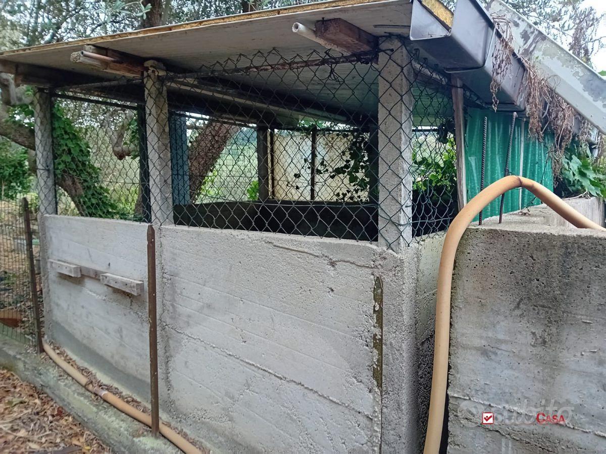 Terreno zona Castanea con deposito - Altro