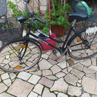 Biacicletta a cardano rarissima italbike walens