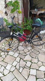 Biacicletta a cardano rarissima italbike walens