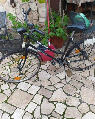 Biacicletta a cardano rarissima italbike walens