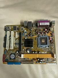 Scheda Madre ASUS P55D2-VM