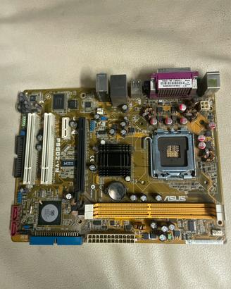 Scheda Madre ASUS P55D2-VM