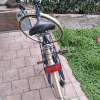 bicicletta  donna