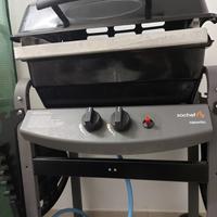 Barbecue a gas con pietre ollari