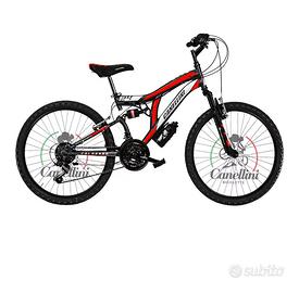 Bicicletta ragazzi