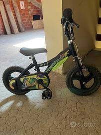 Bicicletta