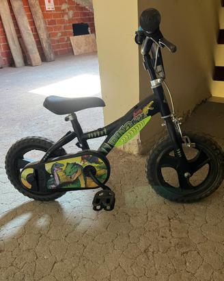 Bicicletta