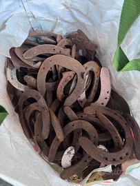 Ferri di cavallo
