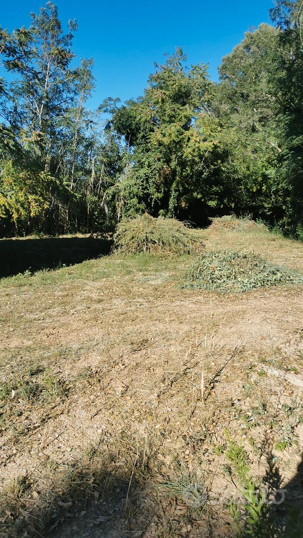 Terreno edificabile D6, Piombino (LI) - Vista 5