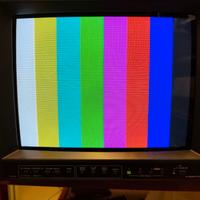 Monitor JVC-TM-H150CG con Slot RGB Videogiochi