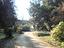 Immagine 23