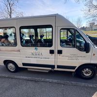 Fiat Ducato trasporto disabili 