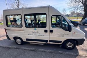 Fiat Ducato trasporto disabili 