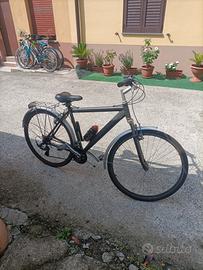 bicicletta uomo 