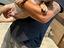 Immagine 5