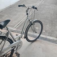 varie tipologie di biciclette a cervia 