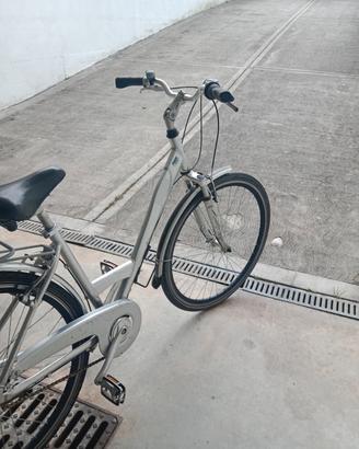 varie tipologie di biciclette a cervia 