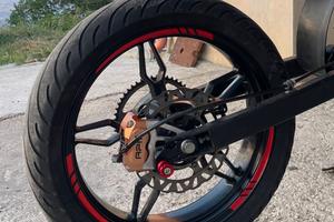 cerchio beta rr 50 2019