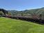 Immagine 29