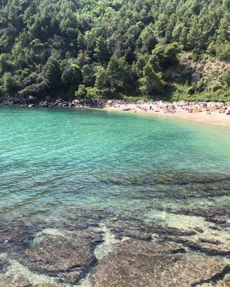 Soluzione appartamento settembre
