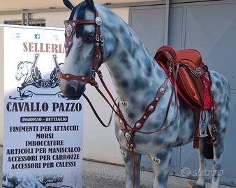 SELLE POTRERA , SET PARTICOLARI  VARI MODELLI DIS