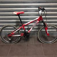 BICI MOUNTAIN BIKE