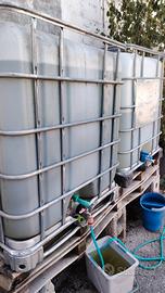 Cisterne acqua 1000 litri